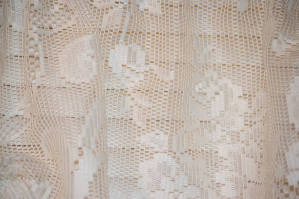 Detailed image of an intricate white lace fabric showcasing elegant patterns and textures. The delicate design highlights craftsmanship, adding a touch of elegance and vintage charm.