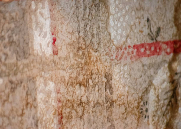 This image showcases an abstract design featuring a textured wall with earthy tones, blending soft reds, browns, and whites, creating a vintage and rustic feel.