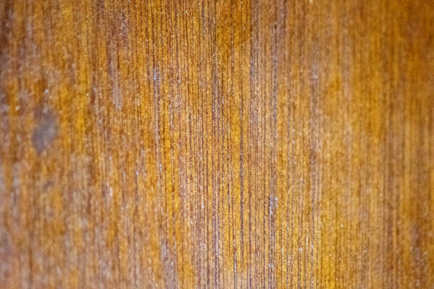 A detailed and high-resolution closeup image of a natural wooden texture, showcasing the intricate patterns and rich, earthy tone. Ideal for backgrounds, design projects, and showcasing natural materials.