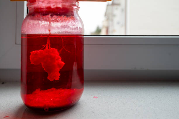 a school chemistry lesson homework assignment - growing salt or sodium chloride crystals in a jar