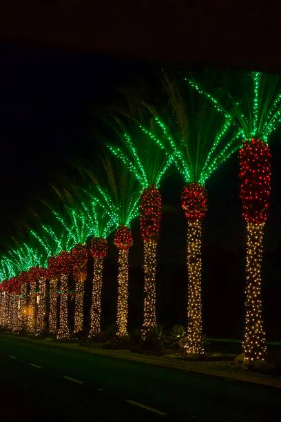 istock Row of palm trees with colored lights 2185129329