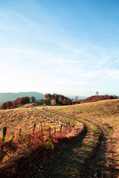 istock Autumn landscape with winding path and vibrant foliage. 2185131135