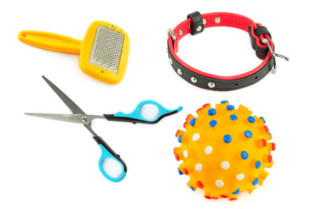istock Dog collar, scissors,comb and ball isolated on white. Collage. 2185131973