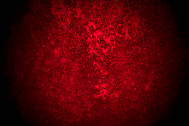 istock Old wall texture cement black red  background abstract dark color design are light with white gradient background. 2185132179
