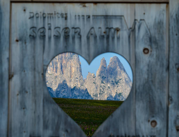 istock Alpe di Siusi ,Tyrol Dolomites 2185133996
