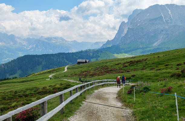 istock Alpe di Siusi ,Tyrol Dolomites 2185134221