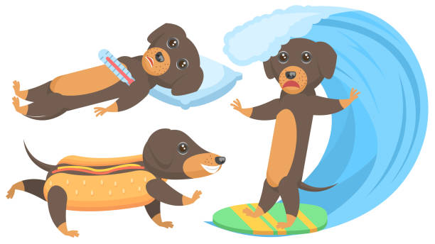 istock Set Abstract Collection Flat Cartoon Different Animal Dachshunds Dogs Surfer On A Wave, Sick On A Pillow, In A Hot Dog Vector Design Style Elements Fauna Wildlife 2185134770