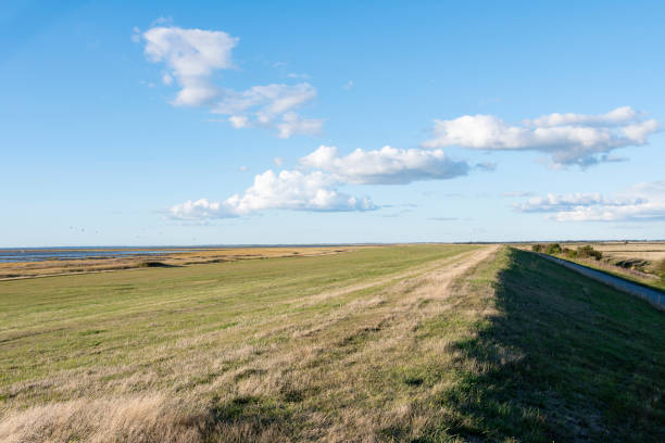 Dikes on the West Coast in Denmark for coastal protection