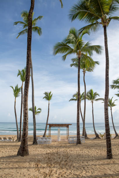 istock Romantic Beach Wedding Venue with Oceanfront Views and Tropical Decor 2185135673