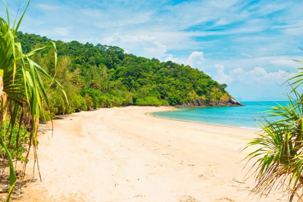 istock Tropical beach and green mountain 2185140773