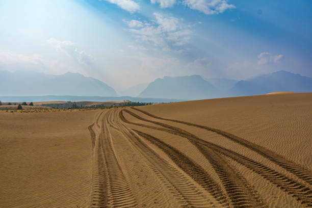 Golden desert dunes with sparse vegetation are illuminated by sunbeams breaking through a dramatic sky, creating a serene and awe-inspiring landscape with distant mountains.