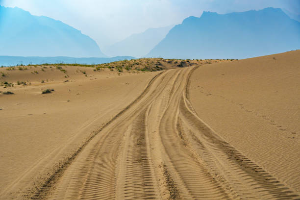 Golden desert dunes with sparse vegetation are illuminated by sunbeams breaking through a dramatic sky, creating a serene and awe-inspiring landscape with distant mountains.