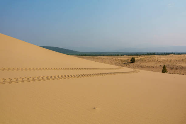 Golden desert dunes with sparse vegetation are illuminated by sunbeams breaking through a dramatic sky, creating a serene and awe-inspiring landscape with distant mountains.