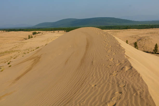 Golden desert dunes with sparse vegetation are illuminated by sunbeams breaking through a dramatic sky, creating a serene and awe-inspiring landscape with distant mountains.