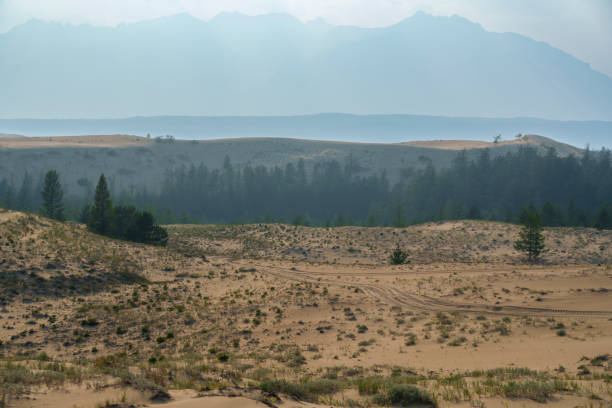 istock Sand dunes meeting lush green vegetation under a hazy sky 2185140988