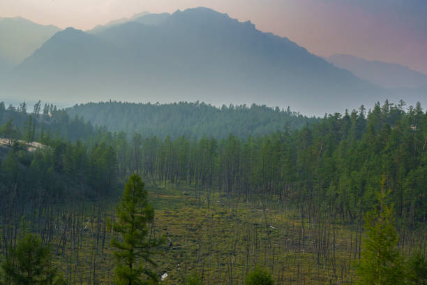 istock View of a sandy plateau surrounded by forest and mountains 2185140989