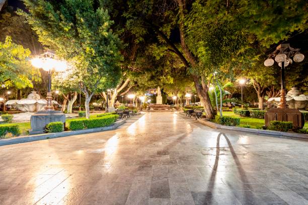 istock Tequisquiapan Garden at Night 2185142683