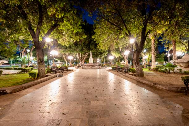 istock Tequisquiapan Garden at Night 2185142716