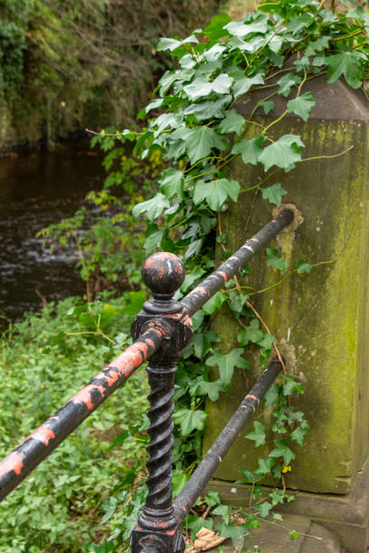 istock On the bank of the river 2185143584