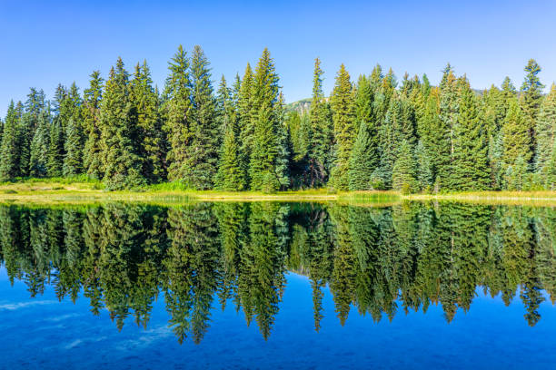 istock Emerald Lake Colorado with coniferous trees and mirror sky reflection on water surface in Eagle County 2185144522