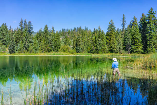istock Eagle County Emerald Lake with coniferous trees and mirror sky reflection on water surface and man fishing 2185144596