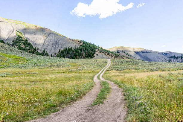 istock Canyon mountain cliffs in Wolcott area, Eagle County Castle Peak park in Colorado, pine trees of high desert landscape by dirt rural countryside road 2185144770