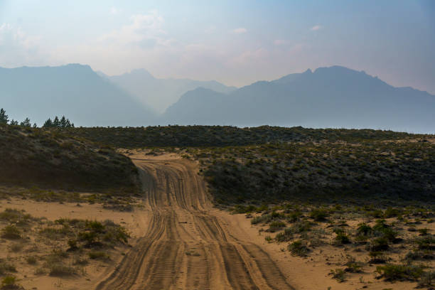 Bolivian dirt road view near Tupiza,Bolivia.Quebrada de Palmira area.Bolivian landscape