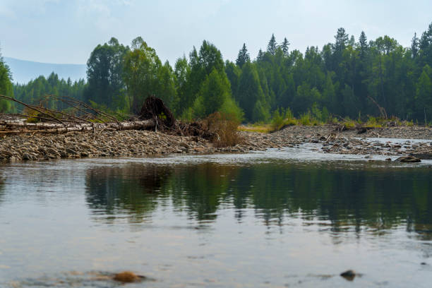 A clear, shallow river with a rocky bottom flows under a bridge surrounded by trees on a bright, sunny day. The peaceful scene highlights the beauty of nature, with no people present