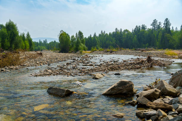 A clear, shallow river with a rocky bottom flows under a bridge surrounded by trees on a bright, sunny day. The peaceful scene highlights the beauty of nature, with no people present