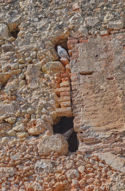 A historic battlements on a gothic castle Helfenburk, Czech Republic
