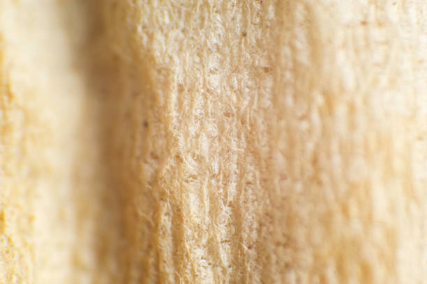 Macro handkerchief soaked in coffee