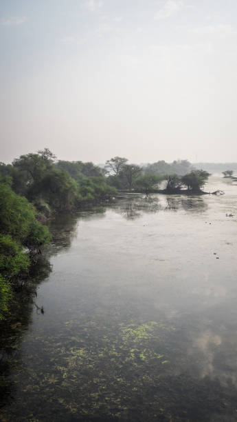 istock Keoladeo National Park in India 2185150889