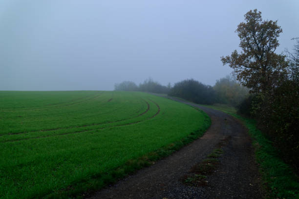 Fog outside the city on a cloudy autumn day in Bavaria.