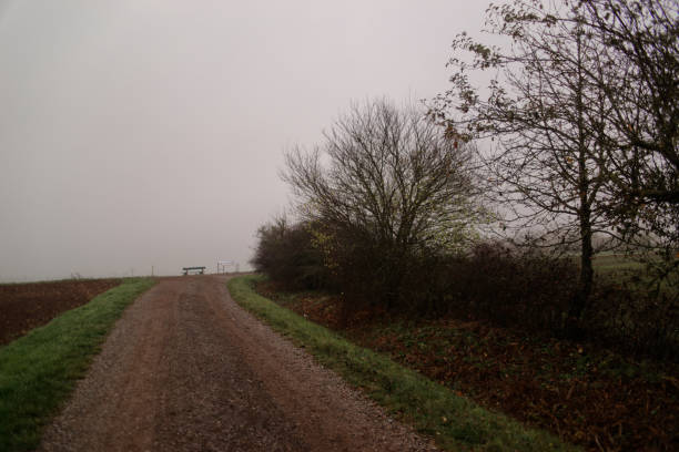 Fog outside the city on a cloudy autumn day in Bavaria.