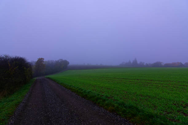 Fog outside the city on a cloudy autumn day in Bavaria.