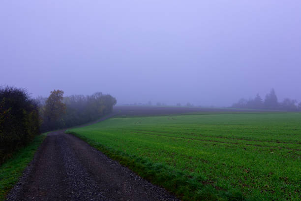 Fog outside the city on a cloudy autumn day in Bavaria.