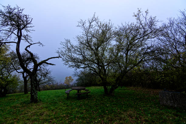Fog outside the city on a cloudy autumn day in Bavaria.