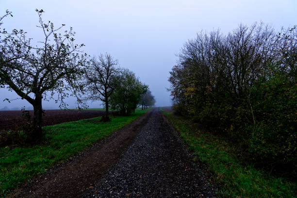Fog outside the city on a cloudy autumn day in Bavaria.