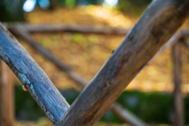 Staccionata di legno