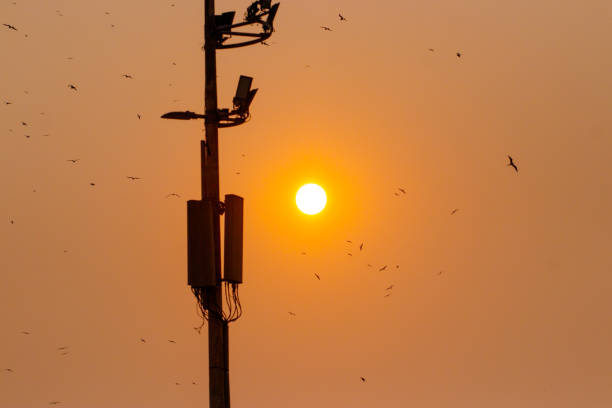 istock Sunrise at Copacabana Beach in Rio de Janeiro. 2185161902