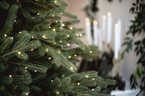 istock Decorative Christmas tree adorned with lights and candles in a cozy setting 2185162725