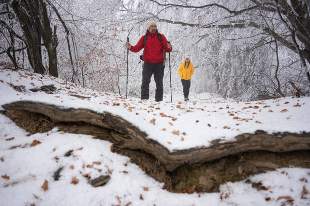 Mature man and woman, one in red, the other in yellow jacket hiking in misty snowy forest. Active senior people and healthy lifestyle concept.