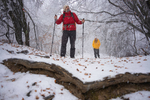 Trekkers making their way through snow-laden forest path, emphasizing determination. Active senior people and healthy lifestyle in winter nature environment.