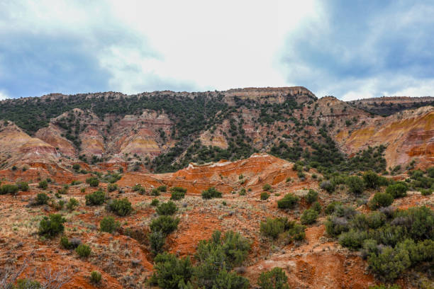 istock Overcate day at Palo Duro Canyon 2185165562