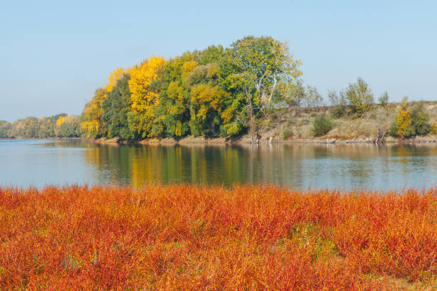 Landscape featuring a river with calm water reflecting the surrounding trees. Trees exhibit vibrant autumn colors, with a mix of green, yellow, and orange foliage.