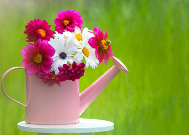 pink watering can filled with vibrant pink, purple, and white flowers, set against a blurred green background. A perfect combination of nature and rustic charm.