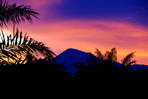istock Breathtaking Sunset Over Majestic Mountain Silhouette Surrounded by Tropical Palm Trees Against a Colorful Sky with Vibrant Hues of Orange, Purple and Blue 2185178066