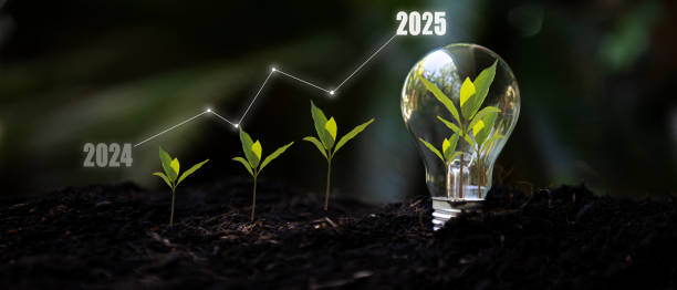 istock Saving and growth energy and environment.  Tree growth compared to year 2024 to 2025 in light bulb for saving Ecology energy nature. Development to success Year 2025 2185180820