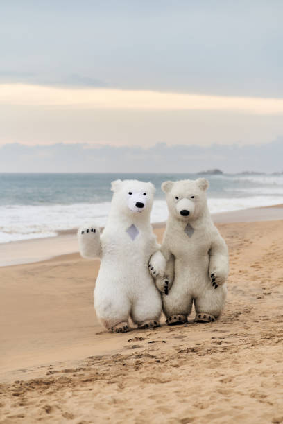 istock Animators dressed as polar bears entertain people on the beach 2185192961