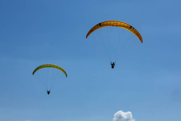 Paragliders at the Torrey Pines Gliderport in La Jolla, California USA taken on November 3, 2024.